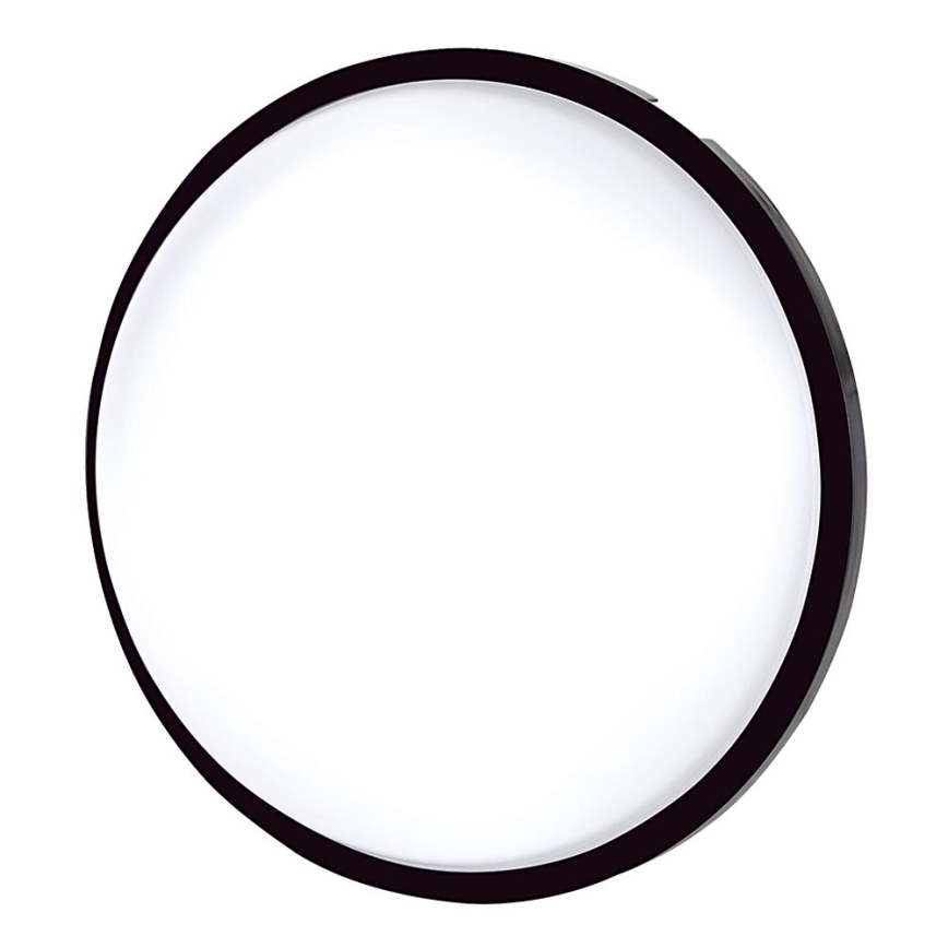 LED Ceiling light LED/20W/230V IP65