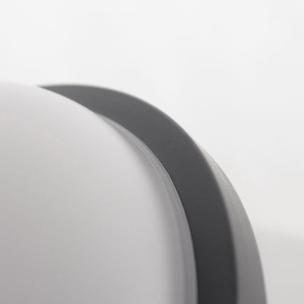 LED Ceiling light LED/20W/230V IP65