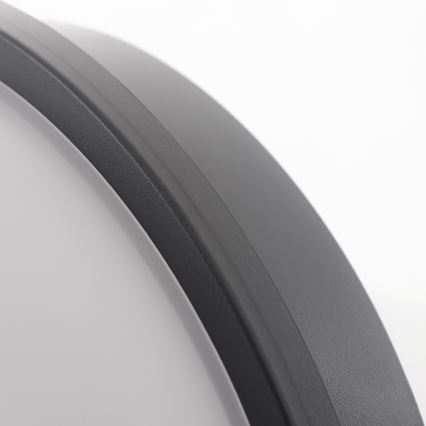 LED Ceiling light LED/20W/230V IP65