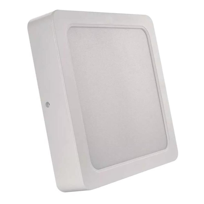 LED Ceiling light LED/24W/230V 22x22 cm white