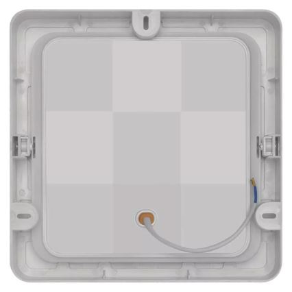 LED Ceiling light LED/24W/230V 22x22 cm white