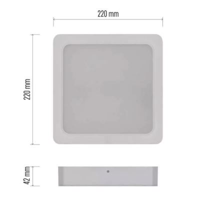 LED Ceiling light LED/24W/230V 22x22 cm white