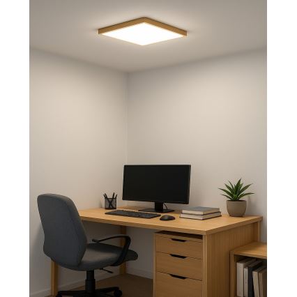 LED Ceiling Light LED/24W/230V 3000/4000/6500K 30x30 cm beige