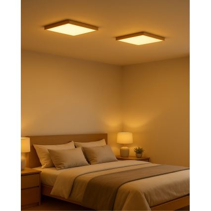 LED Ceiling Light LED/24W/230V 3000/4000/6500K 30x30 cm beige
