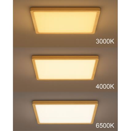LED Ceiling Light LED/24W/230V 3000/4000/6500K 30x30 cm beige