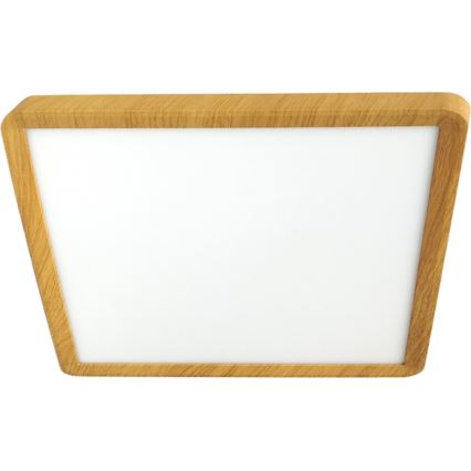 LED Ceiling Light LED/24W/230V 3000/4000/6500K 30x30 cm beige
