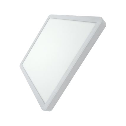 LED ceiling light LED/24W/230V 3000/4000/6500K 30x30 cm white