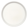 LED Ceiling Light LED/24W/230V 3000/4000/6500K dia. 30 cm White