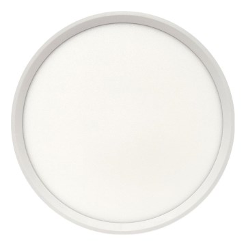 LED Ceiling Light LED/24W/230V 3000/4000/6500K dia. 30 cm White