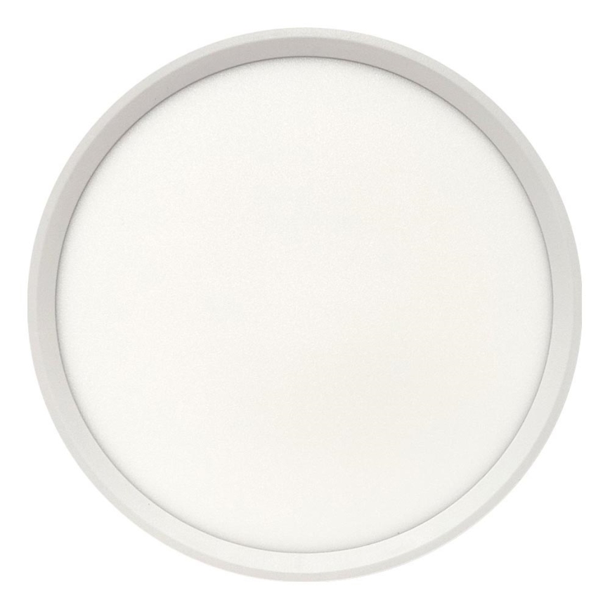 LED Ceiling Light LED/24W/230V 3000/4000/6500K dia. 30 cm White