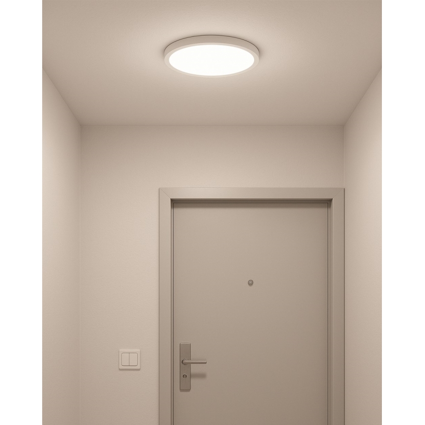 LED Ceiling Light LED/24W/230V 3000/4000/6500K dia. 30 cm White
