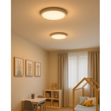 LED Ceiling Light LED/24W/230V 3000/4000/6500K dia. 30 cm White