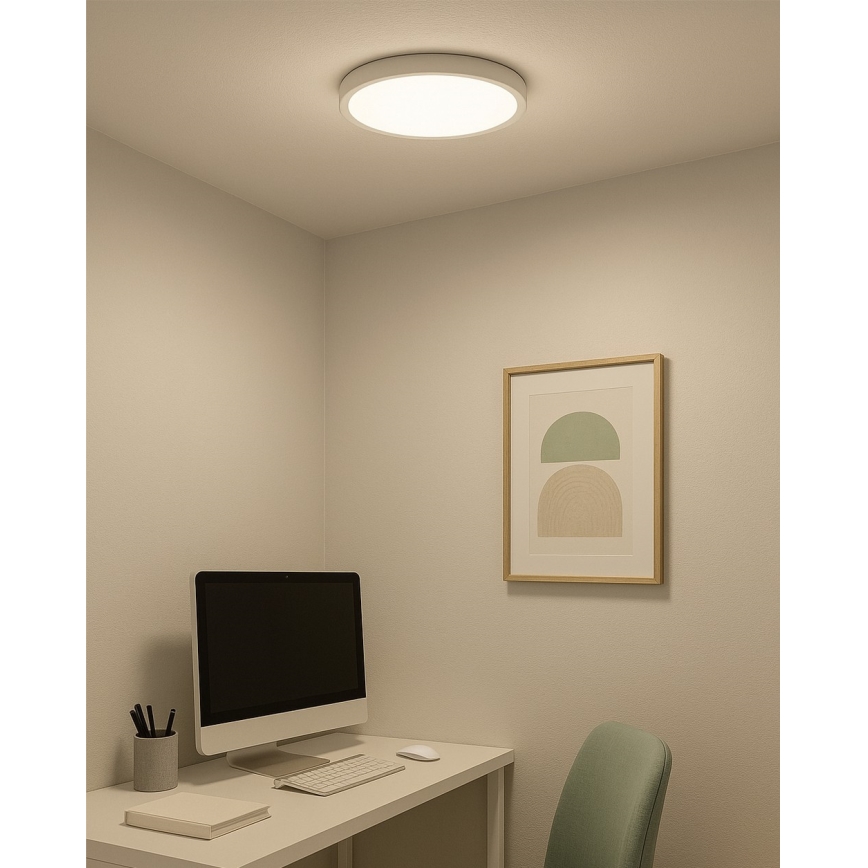 LED Ceiling Light LED/24W/230V 3000/4000/6500K dia. 30 cm White