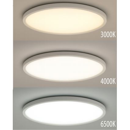 LED Ceiling Light LED/24W/230V 3000/4000/6500K dia. 30 cm White
