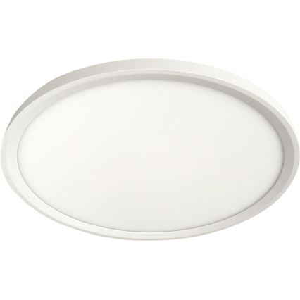 LED Ceiling Light LED/24W/230V 3000/4000/6500K dia. 30 cm White