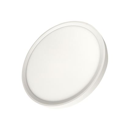 LED Ceiling Light LED/24W/230V 3000/4000/6500K dia. 30 cm White