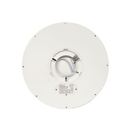 LED Ceiling Light LED/24W/230V 3000/4000/6500K dia. 30 cm White