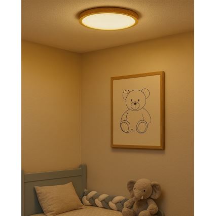 LED Ceiling Light LED/24W/230V 3000/4000/6500K Ø 30 cm Beige