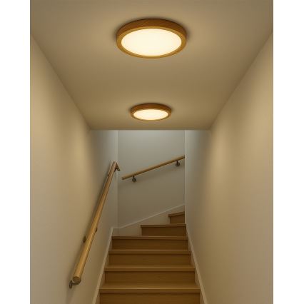 LED Ceiling Light LED/24W/230V 3000/4000/6500K Ø 30 cm Beige