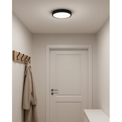 LED Ceiling Light LED/24W/230V 3000/4000/6500K Ø 30 cm Black