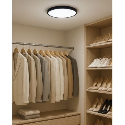 LED Ceiling Light LED/24W/230V 3000/4000/6500K Ø 30 cm Black