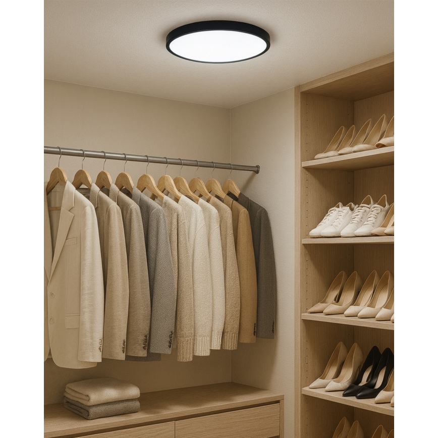 LED Ceiling Light LED/24W/230V 3000/4000/6500K Ø 30 cm Black