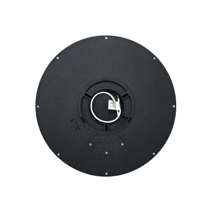 LED Ceiling Light LED/24W/230V 3000/4000/6500K Ø 30 cm Black