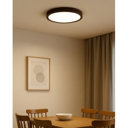 LED Ceiling Light LED/24W/230V 3000/4000/6500K Ø 30 cm Brown