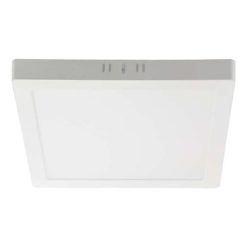 LED Ceiling light LED/24W/230V 3000K 28,7x28,7 cm white