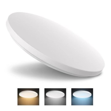 LED Ceiling light LED/24W/230V 3000K/4000K/6000K