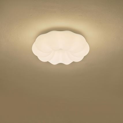 LED Ceiling light LED/24W/230V 3000K black