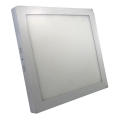 LED ceiling light LED/24W/230V 3000K