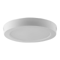 LED Ceiling light LED/24W/230V 3000K