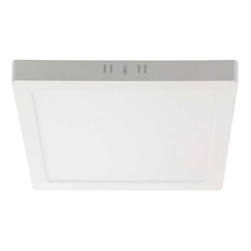 LED Ceiling light LED/24W/230V 4000K 28,7x28,7 cm white