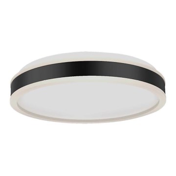 LED Ceiling light LED/24W/230V 4000K black