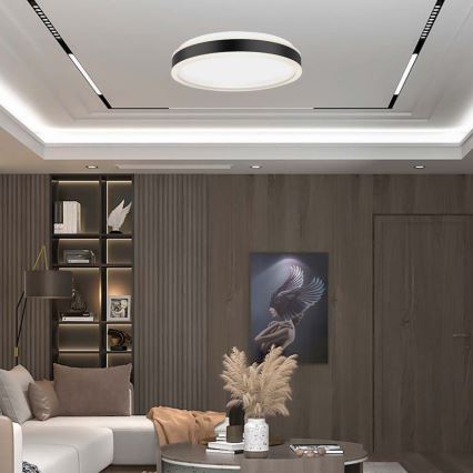 LED Ceiling light LED/24W/230V 4000K black