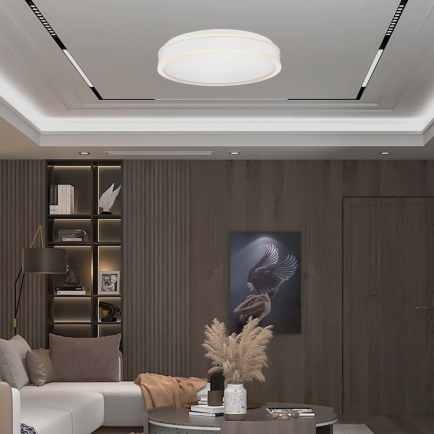 LED Ceiling light LED/24W/230V 4000K d. 45 cm white