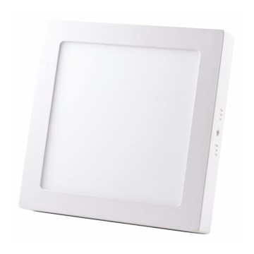 LED Ceiling light LED/24W/230V 4000K