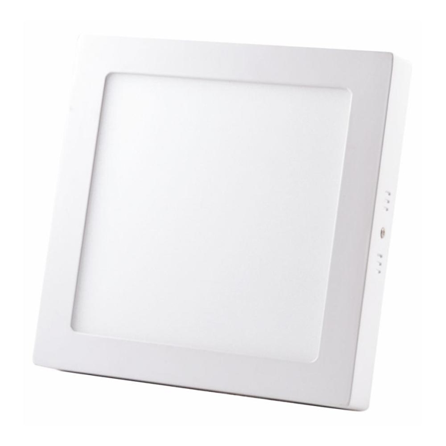 LED Ceiling light LED/24W/230V 4000K