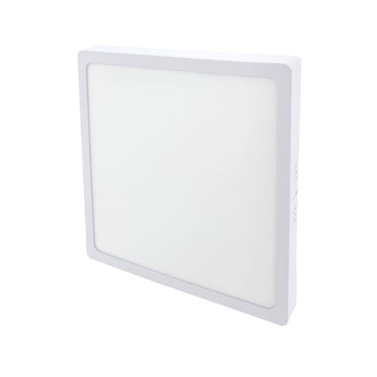 LED ceiling light LED/24W/230V 4200K