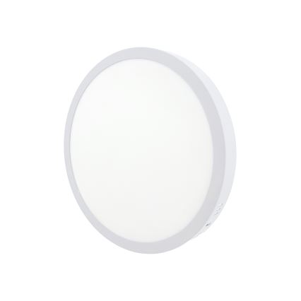 LED ceiling light LED/24W/230V 4200K