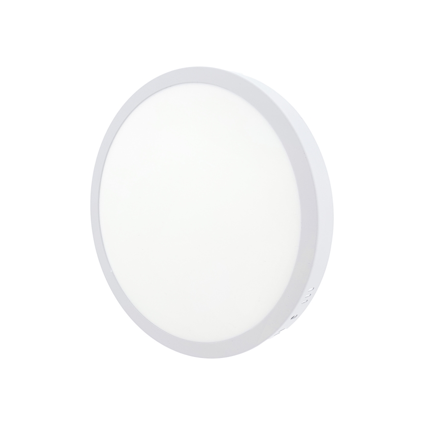 LED ceiling light LED/24W/230V 4200K