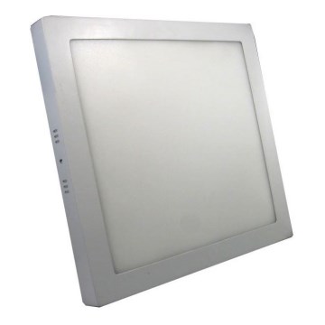 LED ceiling light LED/24W/230V 6000K