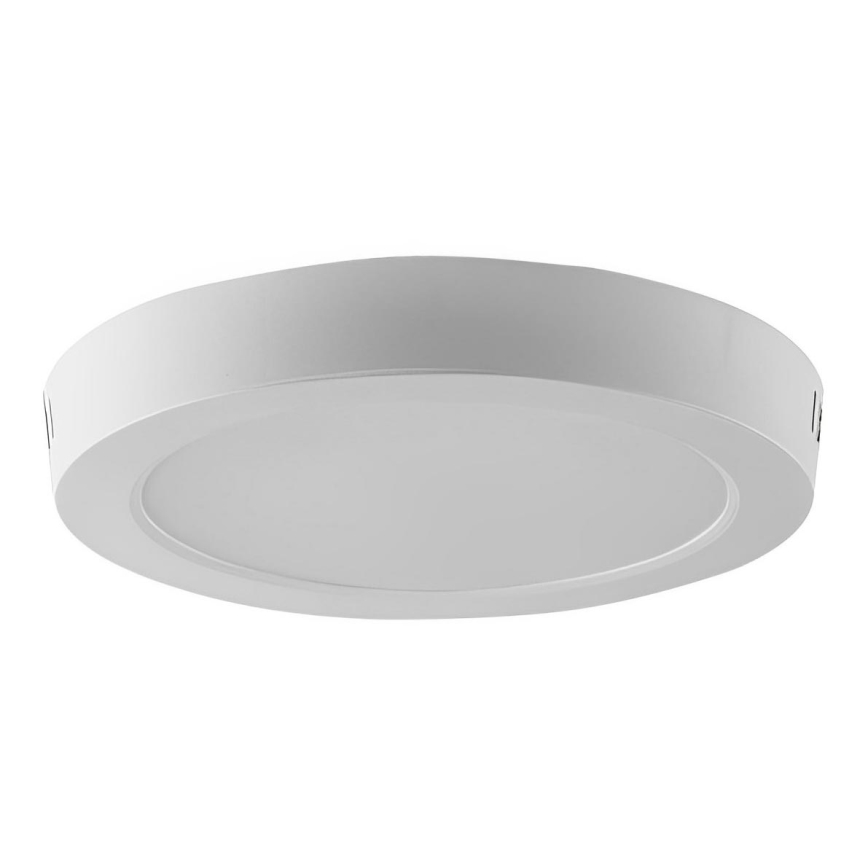 LED Ceiling light LED/24W/230V 6500K d. 28,8 cm