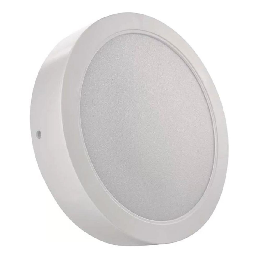 LED Ceiling light LED/24W/230V d. 22 cm white
