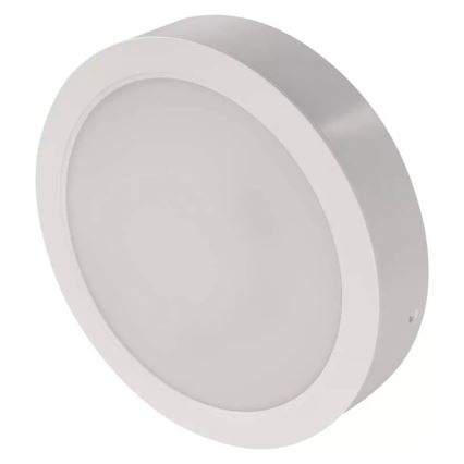 LED Ceiling light LED/24W/230V d. 22 cm white