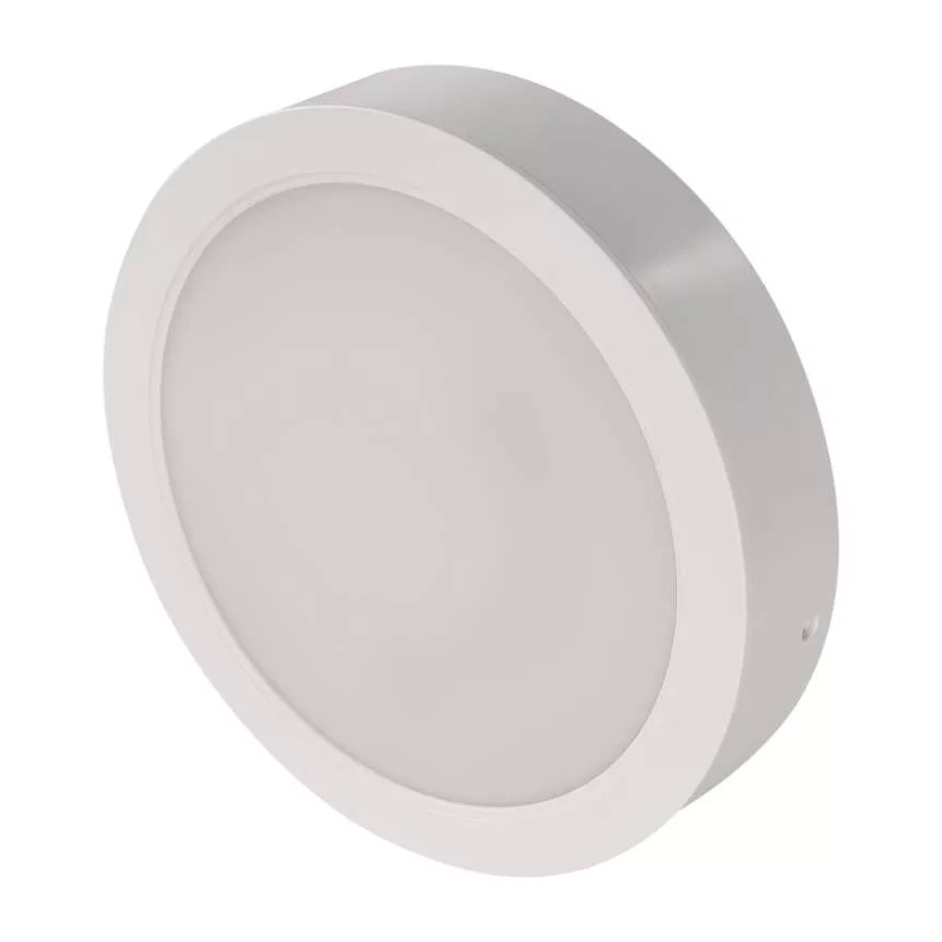 LED Ceiling light LED/24W/230V d. 22 cm white