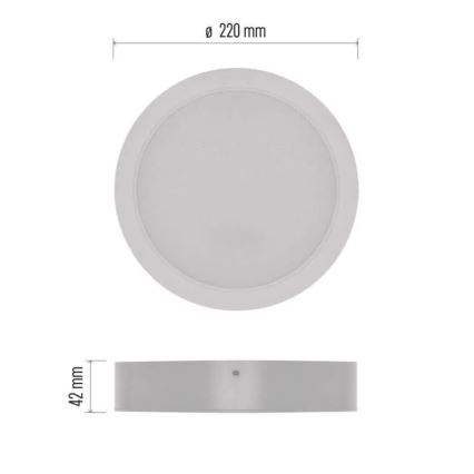 LED Ceiling light LED/24W/230V d. 22 cm white
