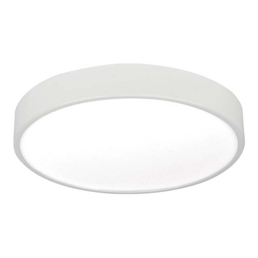 LED Ceiling light LED/24W/230V
