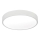 LED Ceiling light LED/24W/230V